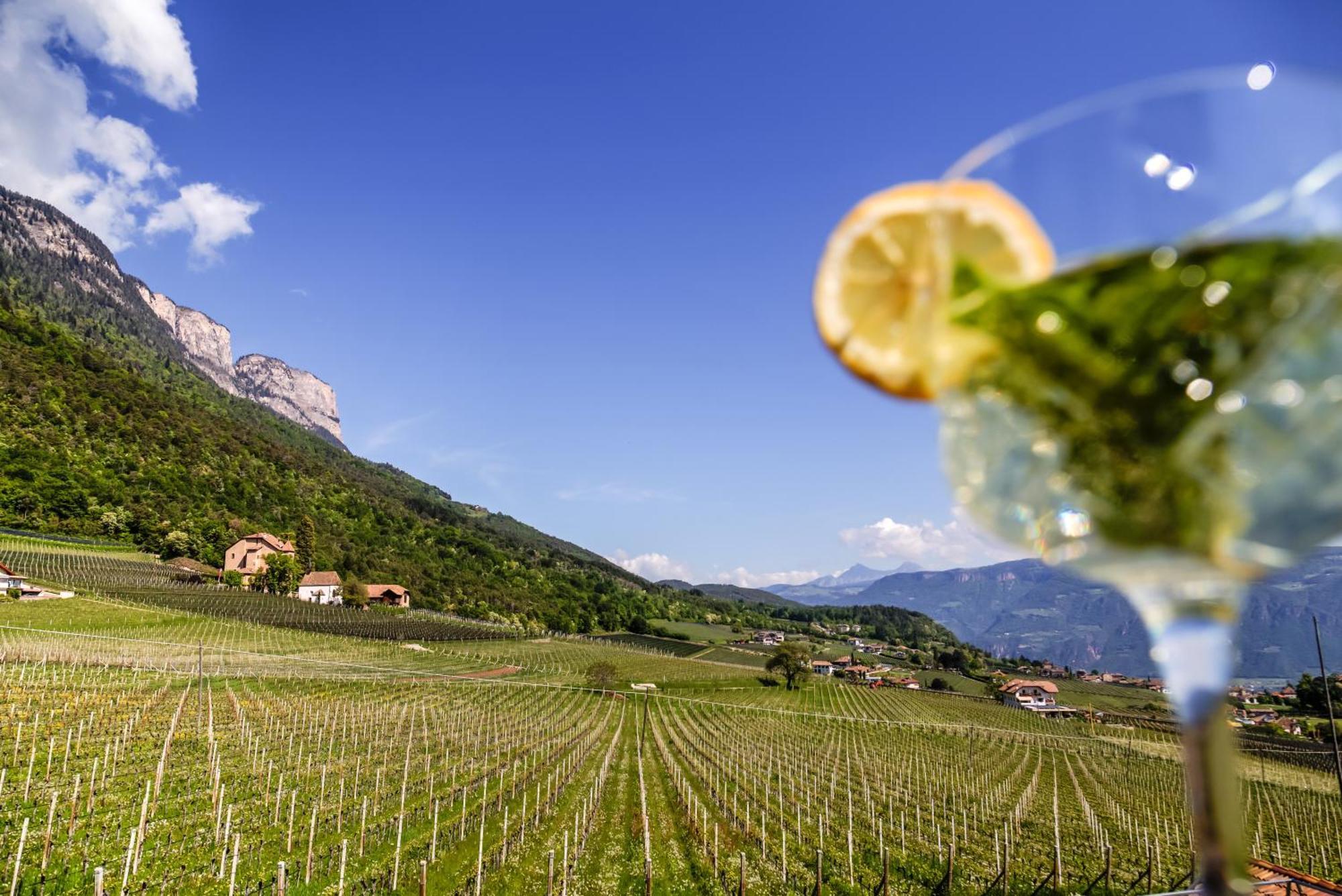 Das Matscher Residence & Garden Hotel Appiano Sulla Strada Del Vino Extérieur photo